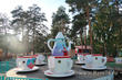Аттракцион Чашки в парке Гагарина
