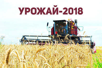 Выставка «Урожай — 2018» Выставка «Урожай — 2018»